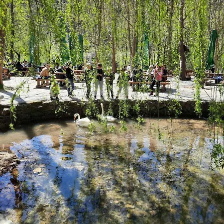 아파트 Toni-1 By Interhome Grebaštica