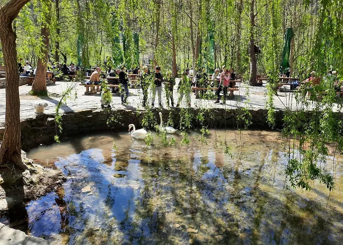 Appartement Toni-1 By Interhome Grebaštica